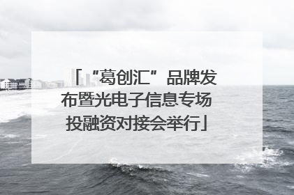 “葛创汇”品牌发布暨光电子信息专场投融资对接会举行