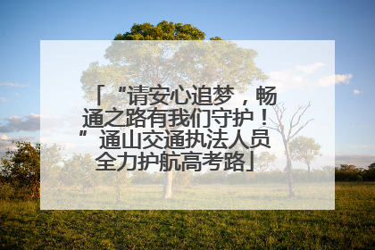 “请安心追梦，畅通之路有我们守护！”通山交通执法人员全力护航高考路