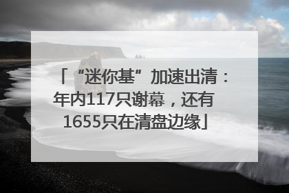 “迷你基”加速出清：年内117只谢幕，还有1655只在清盘边缘