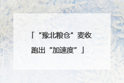 “豫北粮仓”麦收跑出“加速度”