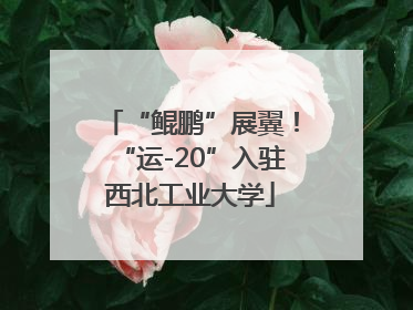 “鲲鹏”展翼！“运-20”入驻西北工业大学