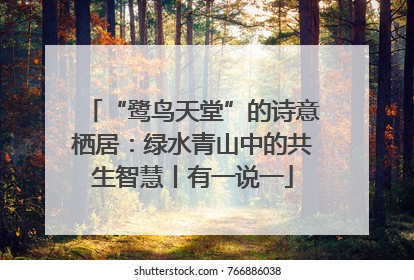 “鹭鸟天堂”的诗意栖居：绿水青山中的共生智慧丨有一说一