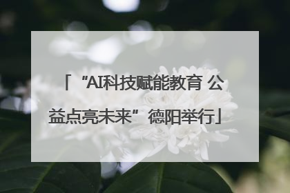 “AI科技赋能教育 公益点亮未来”德阳举行