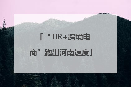 “TIR+跨境电商”跑出河南速度