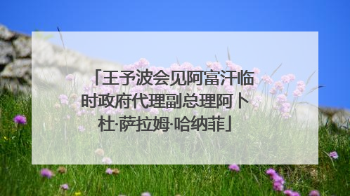 王予波会见阿富汗临时政府代理副总理阿卜杜·萨拉姆·哈纳菲