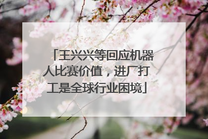 王兴兴等回应机器人比赛价值，进厂打工是全球行业困境