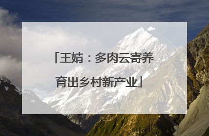 王婧：多肉云寄养 育出乡村新产业