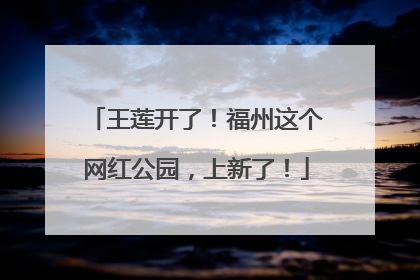 王莲开了！福州这个网红公园，上新了！
