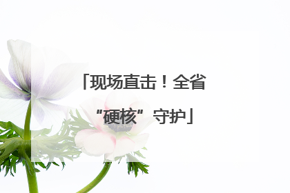 现场直击！全省“硬核”守护