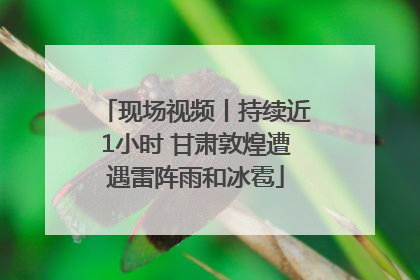 现场视频丨持续近1小时 甘肃敦煌遭遇雷阵雨和冰雹