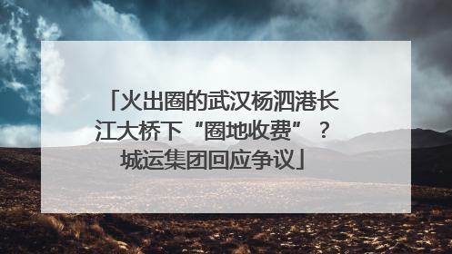 火出圈的武汉杨泗港长江大桥下“圈地收费”？城运集团回应争议