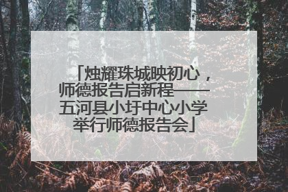 烛耀珠城映初心，师德报告启新程——五河县小圩中心小学举行师德报告会
