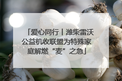 爱心同行丨潍柴雷沃公益机收联盟为特殊家庭解燃“麦”之急
