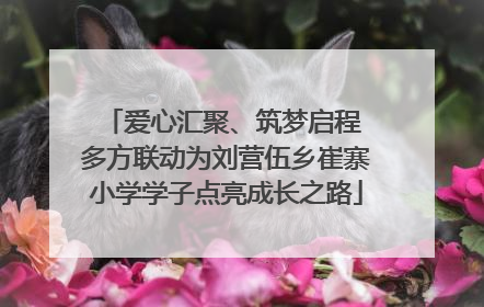 爱心汇聚、筑梦启程 多方联动为刘营伍乡崔寨小学学子点亮成长之路
