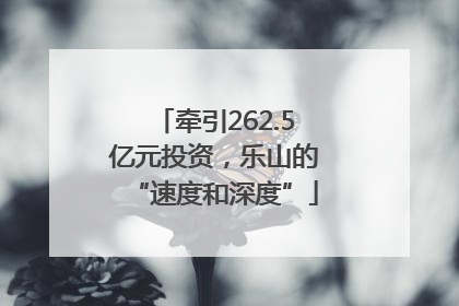 牵引262.5亿元投资，乐山的“速度和深度”