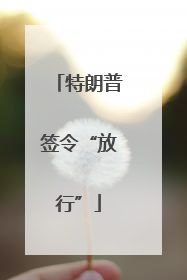 特朗普签令“放行”