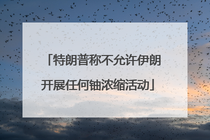 特朗普称不允许伊朗开展任何铀浓缩活动