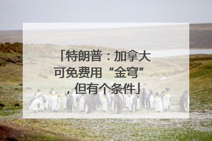 特朗普：加拿大可免费用“金穹”，但有个条件