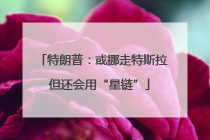特朗普：或挪走特斯拉 但还会用“星链”