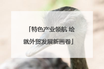 特色产业领航 绘就外贸发展新画卷