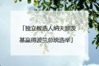独立候选人纳夫罗茨基赢得波兰总统选举