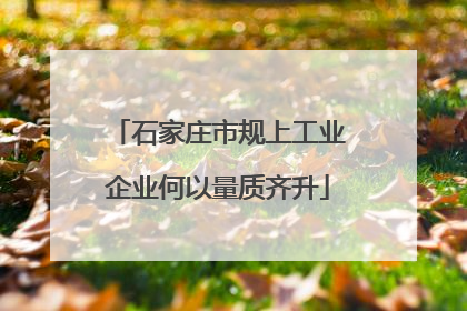 石家庄市规上工业企业何以量质齐升