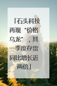 石头科技再现“价格乌龙”，其一季度存货同比增长近两倍