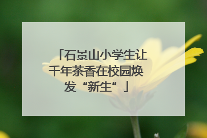 石景山小学生让千年茶香在校园焕发“新生”