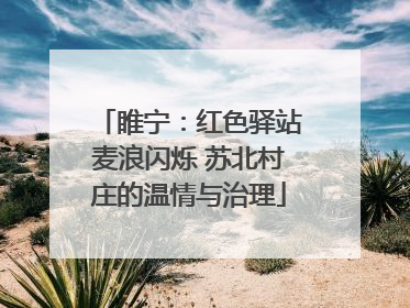 睢宁：红色驿站麦浪闪烁 苏北村庄的温情与治理