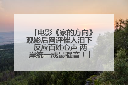 电影《家的方向》观影后网评催人泪下 反应百姓心声 两岸统一成最强音！
