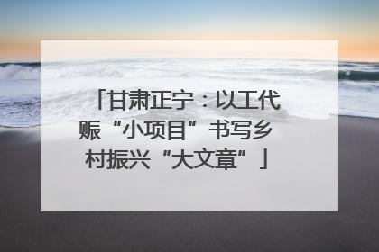 甘肃正宁：以工代赈“小项目”书写乡村振兴“大文章”