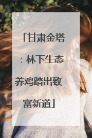 甘肃金塔：林下生态养鸡踏出致富新道