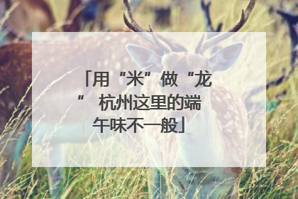 用“米”做“龙” 杭州这里的端午味不一般