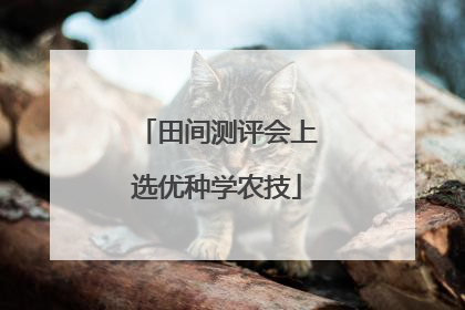 田间测评会上选优种学农技