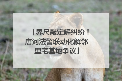 界尺敲定解纠纷！唐河法警联动化解邻里宅基地争议