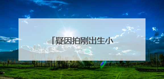 疑因拍刚出生小鹿，女子在市区内遭梅花鹿攻击！