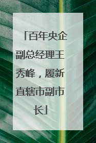 百年央企副总经理王秀峰，履新直辖市副市长
