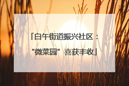 白午街道振兴社区：“微菜园”喜获丰收
