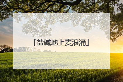 盐碱地上麦浪涌