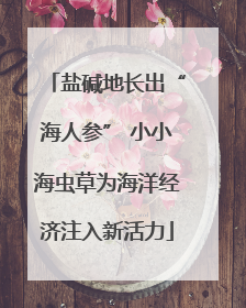 盐碱地长出“海人参” 小小海虫草为海洋经济注入新活力