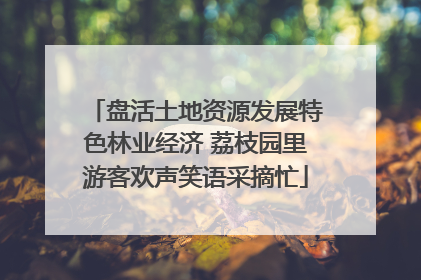 盘活土地资源发展特色林业经济 荔枝园里游客欢声笑语采摘忙