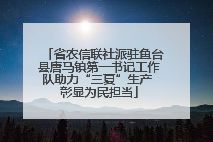 省农信联社派驻鱼台县唐马镇第一书记工作队助力“三夏”生产 彰显为民担当