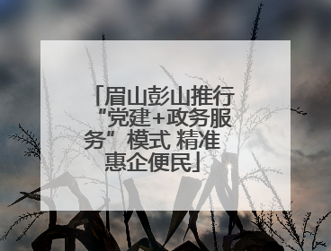 眉山彭山推行“党建+政务服务”模式 精准惠企便民