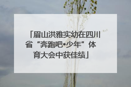 眉山洪雅实幼在四川省“奔跑吧•少年”体育大会中获佳绩