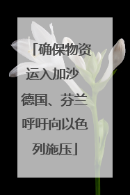 确保物资运入加沙 德国、芬兰呼吁向以色列施压