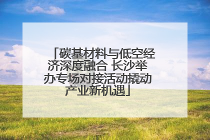 碳基材料与低空经济深度融合 长沙举办专场对接活动撬动产业新机遇