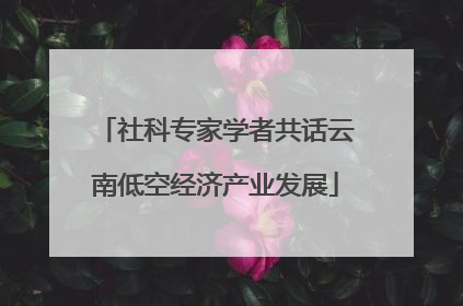 社科专家学者共话云南低空经济产业发展