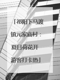 祁阳下马渡镇元家庙村：夏日荷花开 游客打卡热