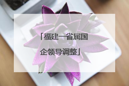 福建一省属国企领导调整