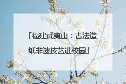 福建武夷山：古法造纸非遗技艺进校园